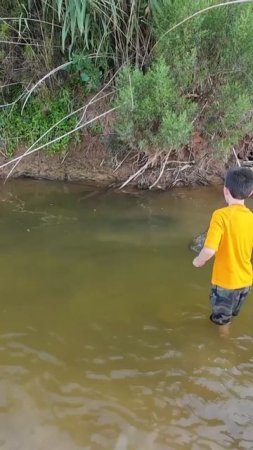 NIBBLE on your FINGERS 🤣 #catfishing #catfish #fish #fishingvideo #fishing #texas #riverfishing