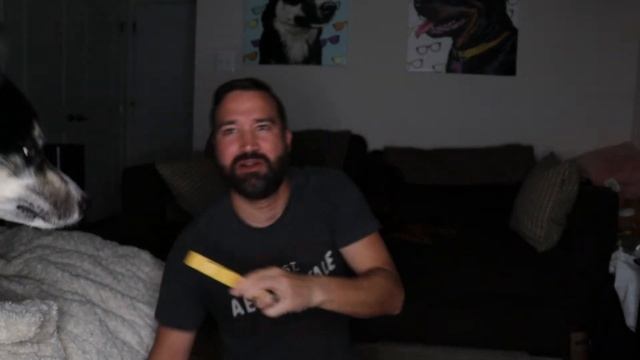 BULLYMAKE Box | Large Dog | August 2021 | 40% OFF discount смотреть онлайн