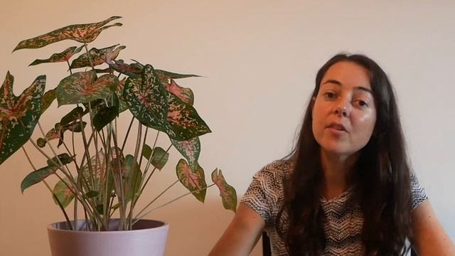 Comment Ne Pas Tuer vos Plantes - Soins de Base смотреть онлайн