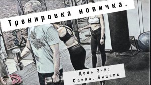 Тренировка новичка. 3 день - спина и бицепс.