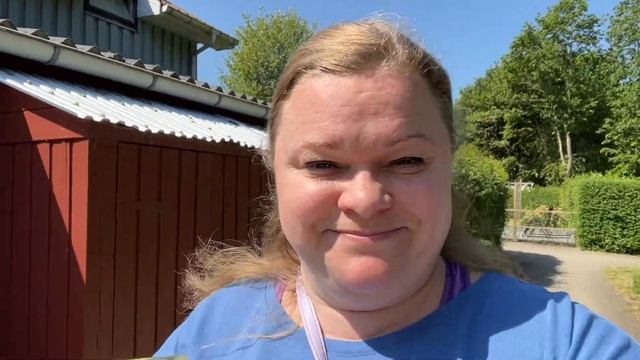 VIL I HAVE EN IS? смотреть онлайн