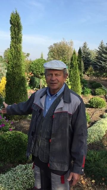 Неприхотливые цветы для сада - продажа | КФХ Манаков смотреть онлайн