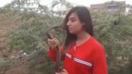 Girl kissing snake | girl handle cobra | kissing king cobra | how to handle a snake | king cobra