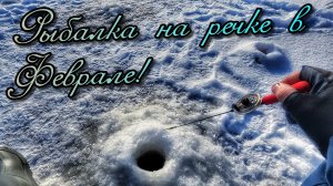 РЫБАЛКА НА БЕЗМОТЫЛКУ! Теплое Солнце, воздух и отличные поклевки рыбы!