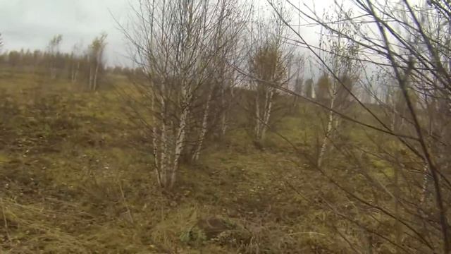 прое хал смотреть онлайн