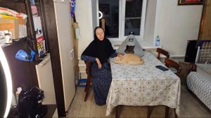 Монастырские кошки в прямом эфире