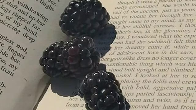 Meme булочка с корицей [Gacha life] смотреть онлайн