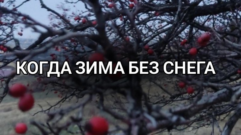 когда зима без снега
