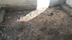 Ремонт пола в питомнике. Подготовил, будем заливать!