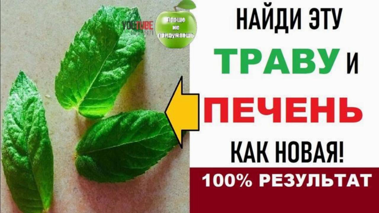 Печень можно вылечить Травами