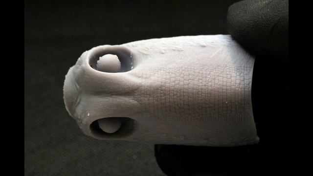 Beasts of the Mesozoic Adasaurus Concept Reveal; Cyberzoic Dilophosaurus Sculpted; Oviraptor?! смотреть онлайн