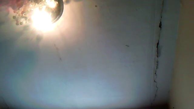 Приключение Фили#2 смотреть онлайн