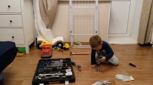 Лев играет. 12.10.2017