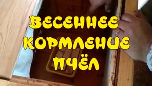 ВЕСЕННЯЯ ПОДКОРМКА ПЧЁЛ НА ПАСЕКЕ. ЗАКОНЧИЛИСЬ КОРМА. ЧТО ДЕЛАТЬ_ (Feeding bees in the spring.)