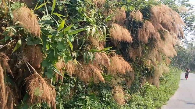 12 April 2024 смотреть онлайн