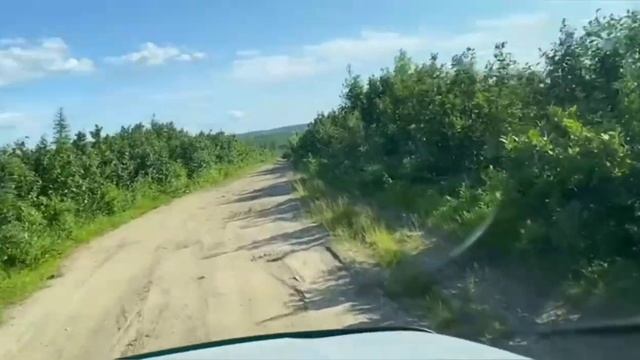 озеро Боганида #норильск #дудинка #рыбалканасевере #хариус