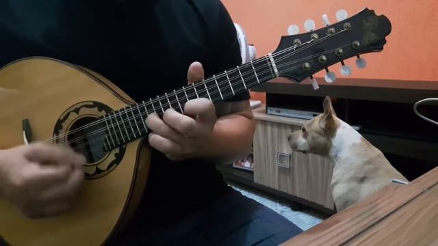 Indifference (Tony Murena) - Por Daniel Rodrigues - Bandolim смотреть онлайн