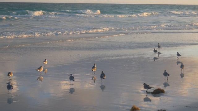 На рассвете смотреть онлайн
