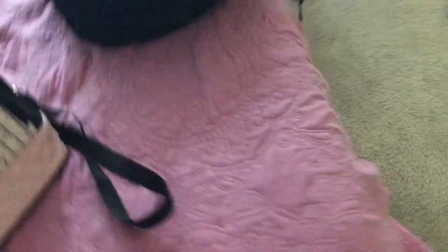 Forever 21 Haul For Summer Trip 2018 Planning My Outfit For Busch Gardens