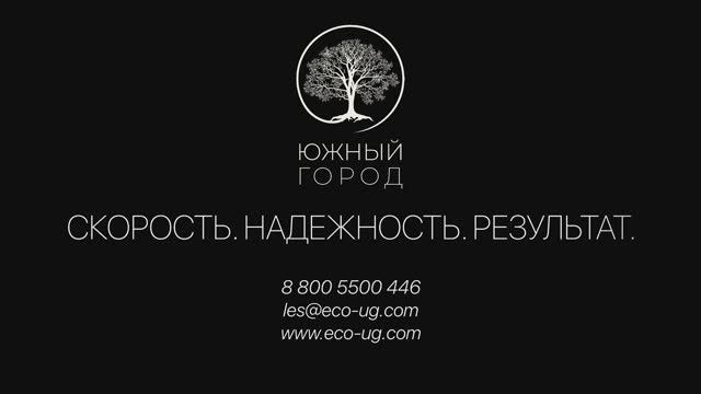 лес