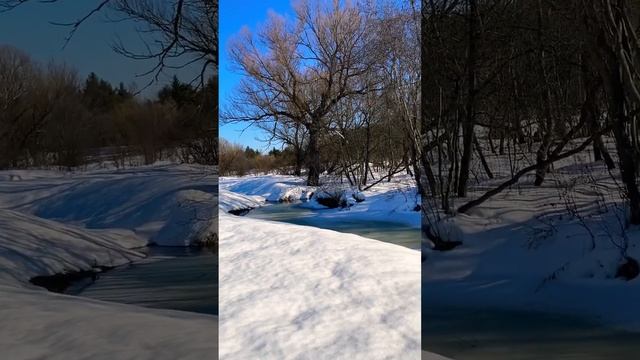 #красотыприроды #деревня#верба#март#просторы#стихи#ЗинаидаМиркина