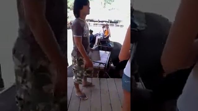 Слоны