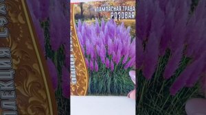 Многолетники из семян.