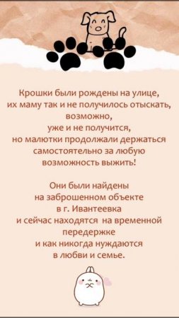 ‼ Малыши остались без дома и ищут родителей ‼ 🆘