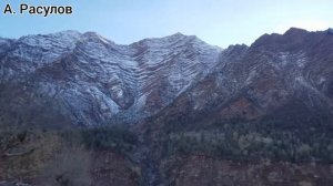 Сангвор. Тавилдара