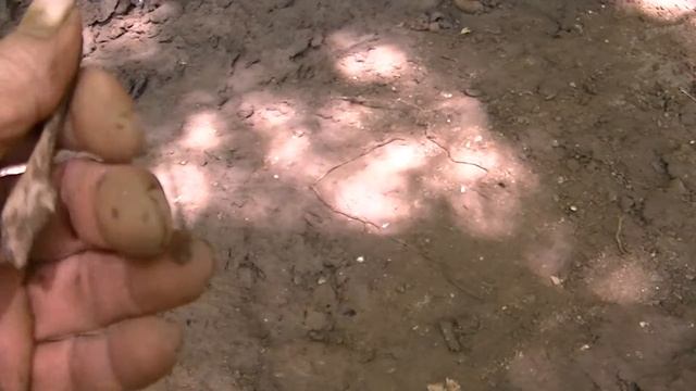 salamander 6 04 2012 смотреть онлайн