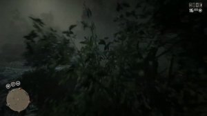 legendary Ghost Panther Location+Kill|RDR2 Online