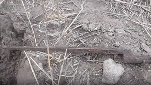 Непустые земли. Поиск с Minelab Vanquish 540.