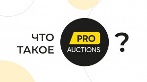 Что такое Pro Auctions?