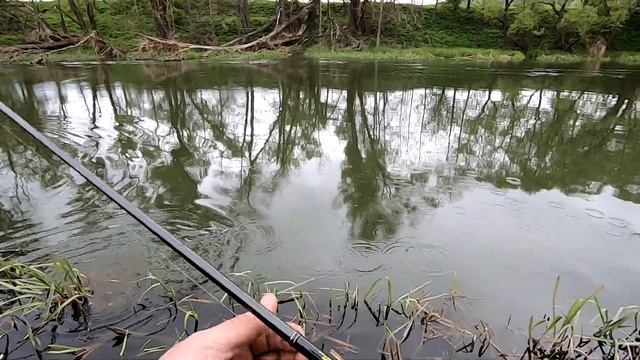 Голавль щуки на малой реке в маябрь. Лови с подхода!