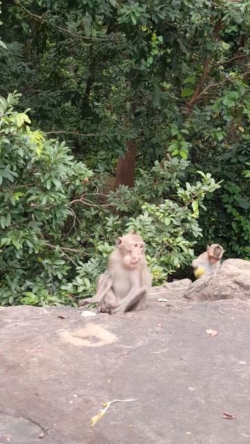 When you are stressed, you can watch this video. #shorts смотреть онлайн