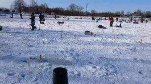 Еще немного с водоема