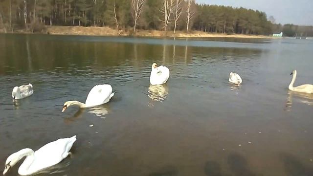 Мой санаторий | Как это было?! | Diana Mayer смотреть онлайн