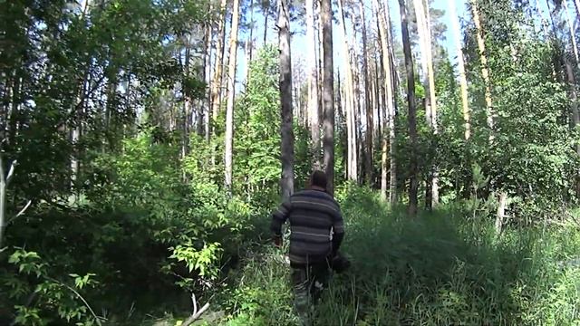 Прогулка по Лесу СКК Вместе смотреть онлайн