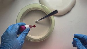 Заливаем форму тарелки гипсом.