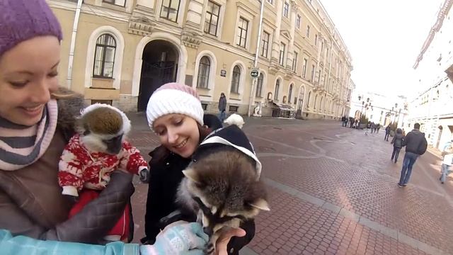 Иветта в гостях СПб смотреть онлайн