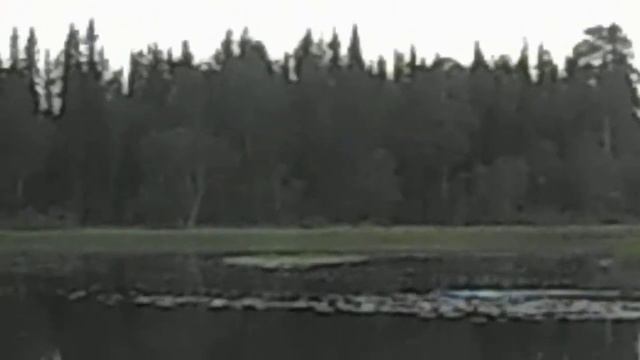 БОБЁР смотреть онлайн