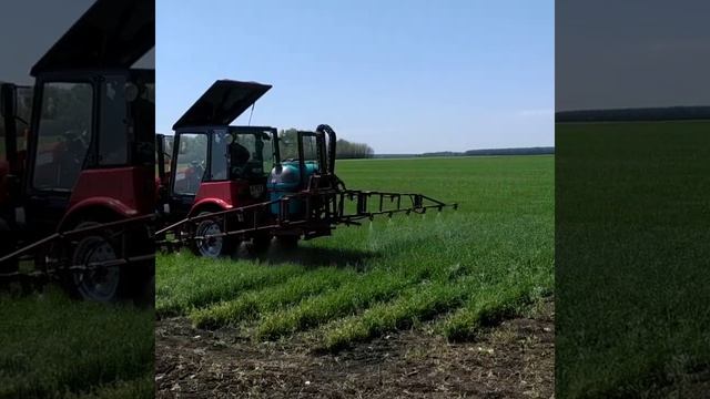 Яровая пшеница, первые обработки смотреть онлайн