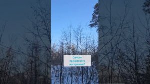 Самое доброе утро!!
