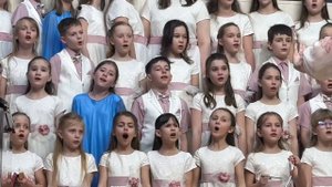 Муха в бане