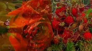 Накукуй ты мне, кукушка ...  кавер под гитару Л.Скат.