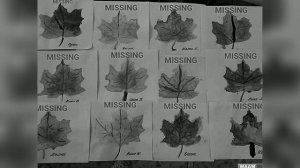 Гражданская Оборона – Кленовый Лист ( low slowed )