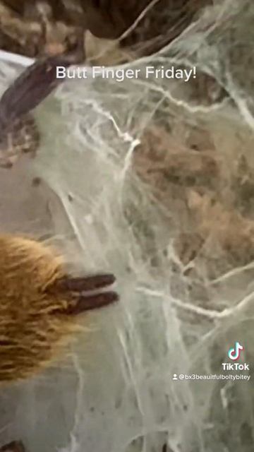 Booty Booping & Butt Fingers! Yep It’s Butt Finger Friday! смотреть онлайн