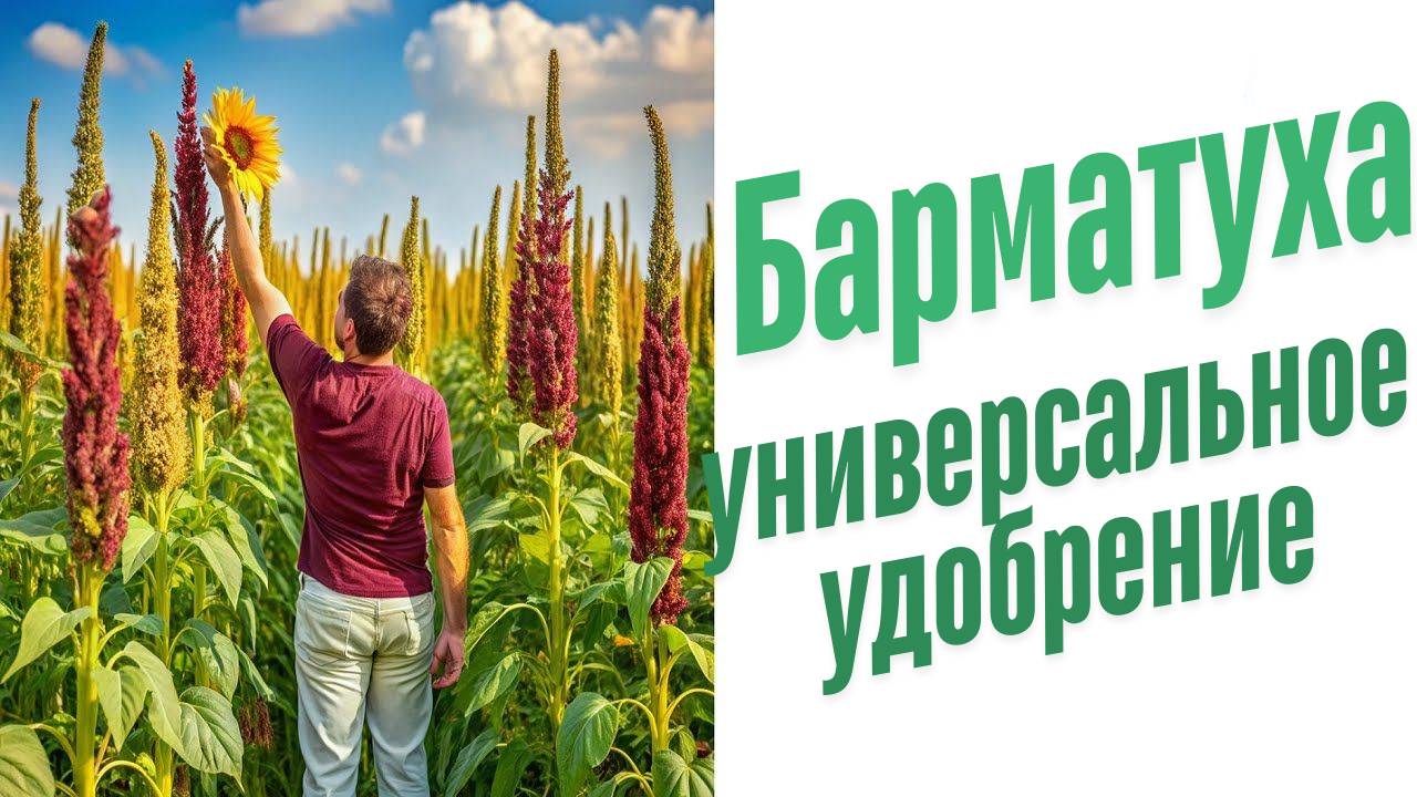Какое жидкое удобрение?