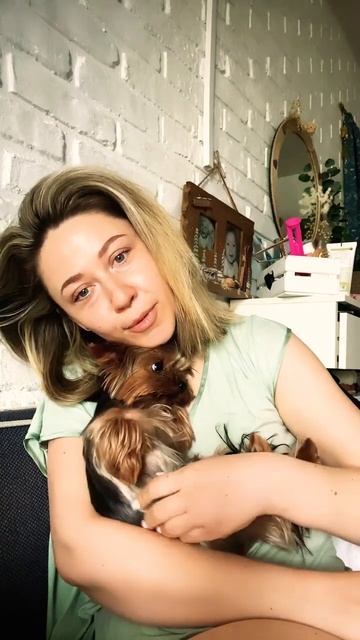 Доброе☀️💛#смешныеживотные #смешныевидео #йорк #собаки #питомцы #любовь #любимые #dog #тверь смотреть онлайн