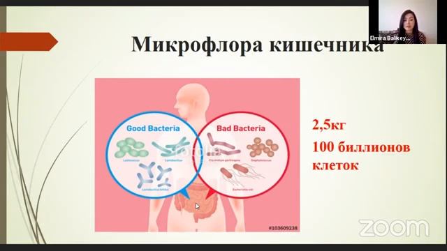 Эксперт Ланч "Поллиноз. Пути решения проблемы."